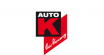 10_k_auto_logo